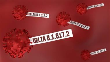 covid-19 delta variant natural immunity