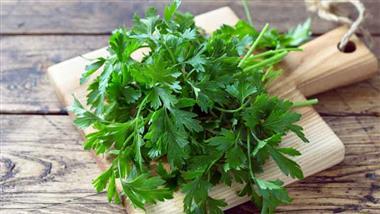 parsley herb of the year 2021