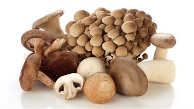 how mushrooms help protect your brain