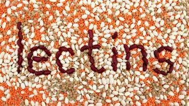 toxic lectin rich foods