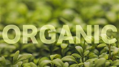 eating organic benefits
