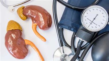 kidneys influence blood pressure