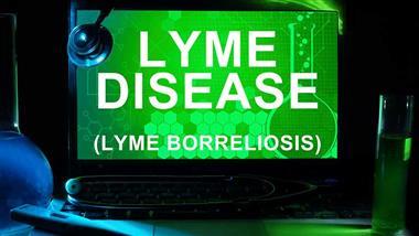 lumbrokinase for lyme disease