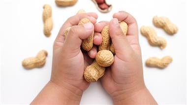 peanuts during infancy reduce risk of allergy