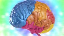 �Strong and Consistent Evidence� Links Multivitamins to Memory and Cognitive Benefits