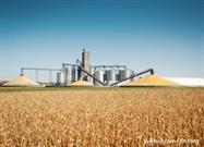 Corn-Based Ethanol for Fuel