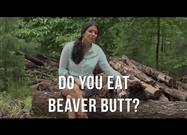 Beaver-Based Alternative to Vanilla
