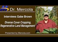 How to Regenerate Soil Using Cover Crops and Regenerative Land Management
