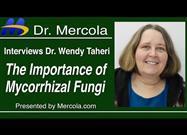 Soil Health and the Importance of Mycorrhizal Fungi