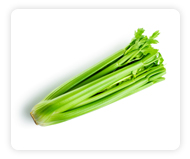 Celery