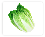 Chinese Cabbage