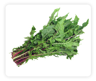 Dandelion Greens
