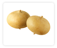 Jicama