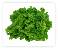 Mustard Greens