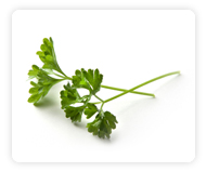 Parsley