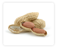 Peanuts