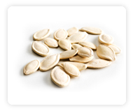 Pumpkin Seeds