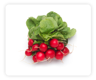 Radishes