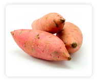 Sweet Potato