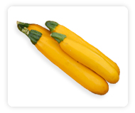 Zucchini (Summer Squash)