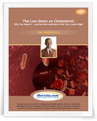 The Low-down on Cholesterol:
Why You Need It - and
The Real Methods to Get
Your Levels Right