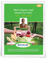 Which Organic Label Should You Trust?