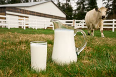 Free Report:How to Know If Your Food Is Really Organic?