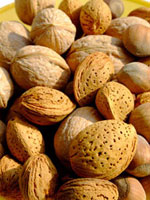 Almonds and Walnuts