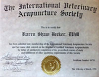 Veterinary Acupuncture - Dr. Karen Becker