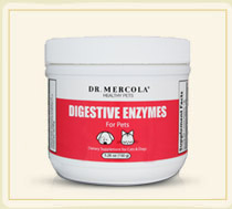 Digestive Enzymes