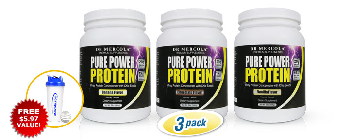 Pure Power Protein 3-Pack Variety