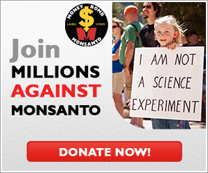 Money Bomb Monsanto