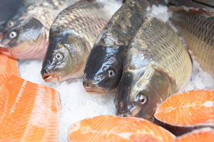 nutrientes del salmon