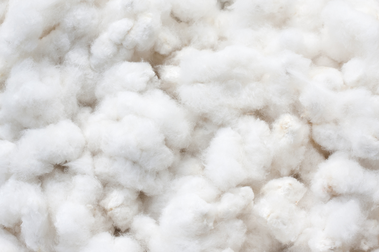 Non-organic or genetically engineered (GE) cotton