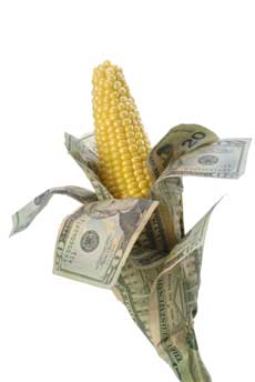 Cash Corn