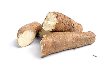 Raiz de Yuca