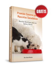 Premios Caseros para Mascotas Saludables