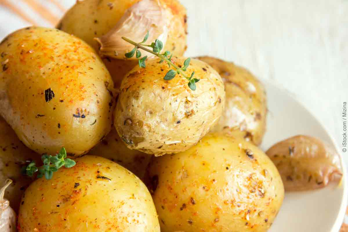 Potato Starch Content