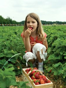 Girl with Strawberries
