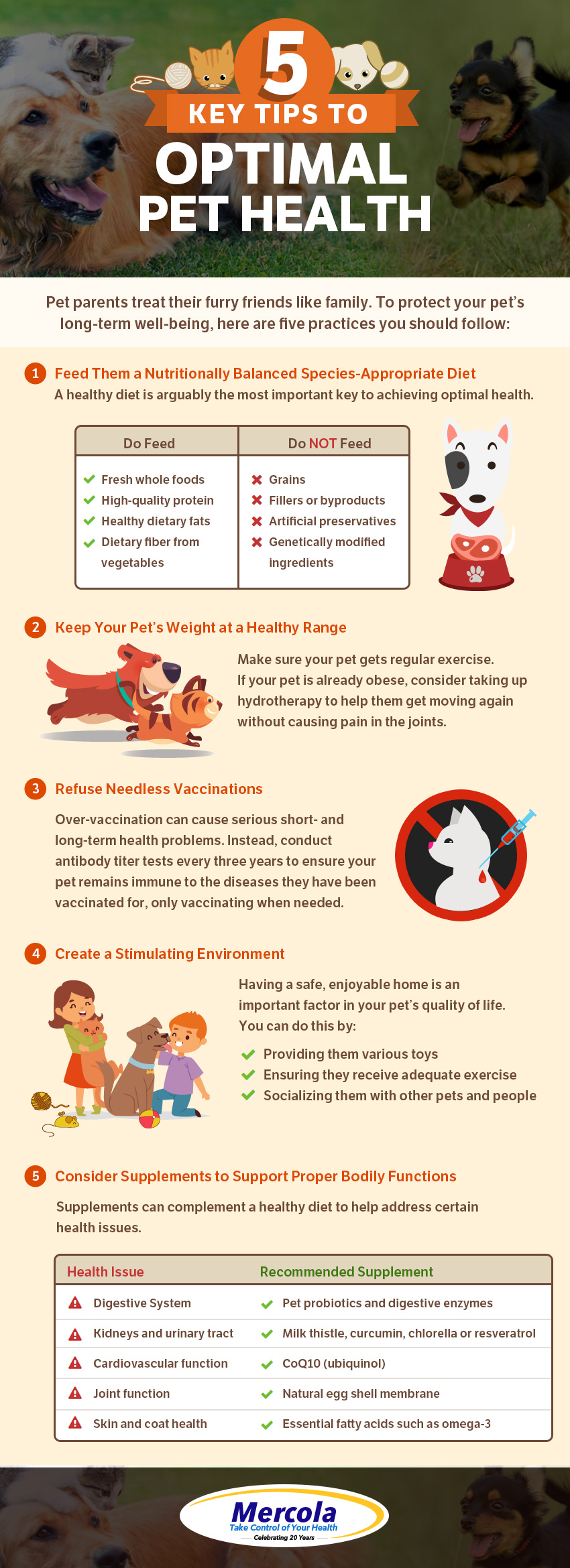 5 Key Tips to Optimal Pet Health