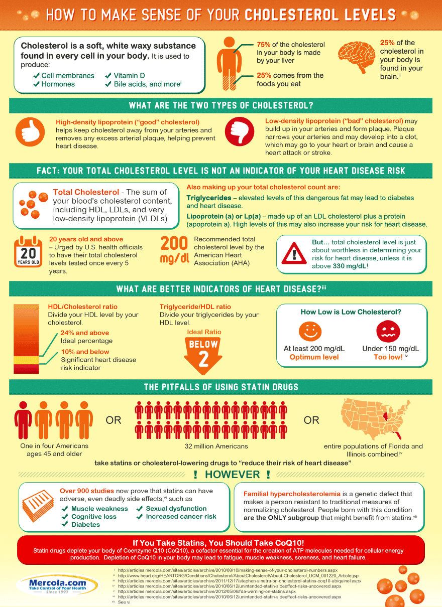 Let's Truck cholesterol levels infographic