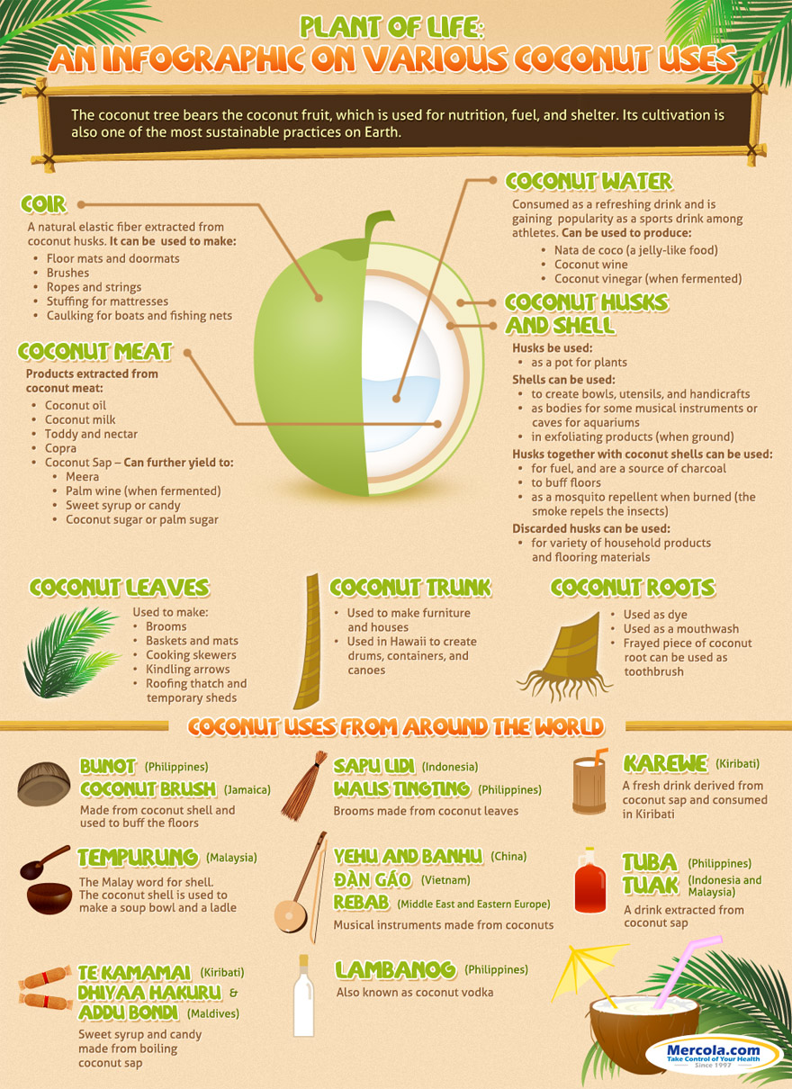 coconut uses infographic