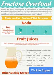 fructose overload infographic