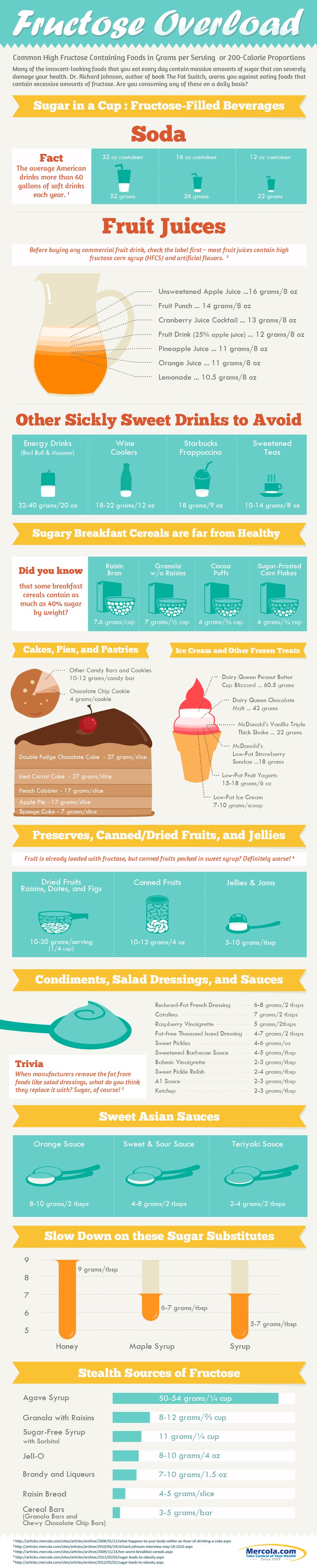 fructose overload infographic