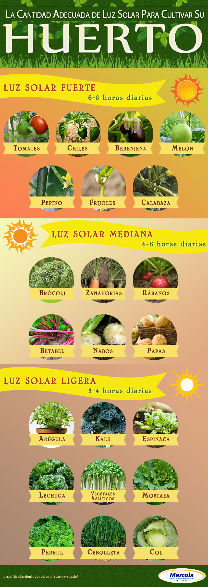 Infografia Cultivar Huerto