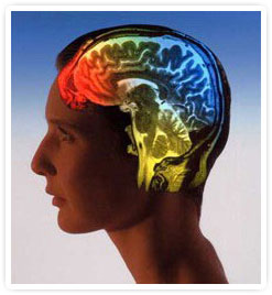 Sunlight and the Brain