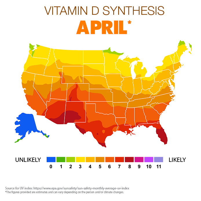 Vitamin D Synthesis - April