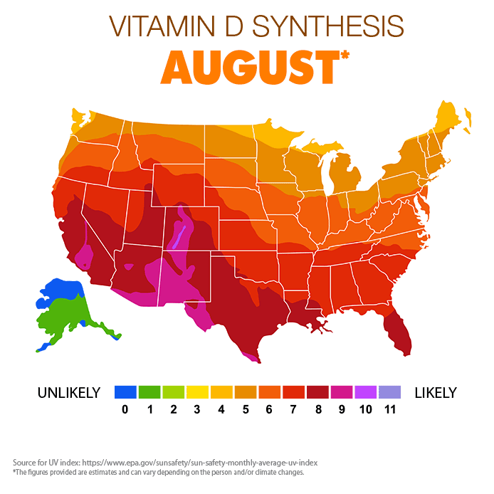 Vitamin D Synthesis - August
