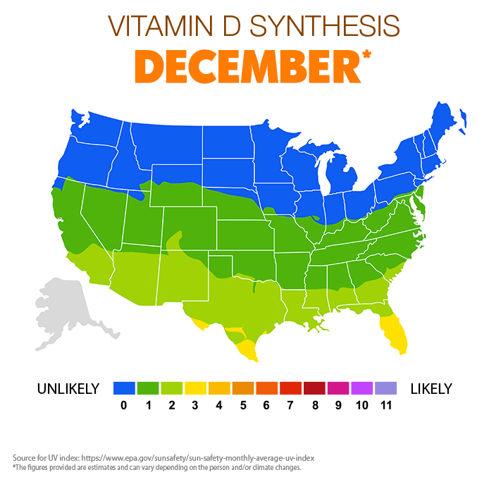 Vitamin D Synthesis - December