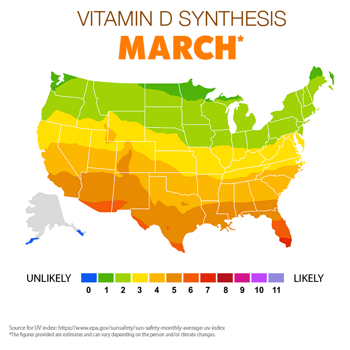 Vitamin D Synthesis - March